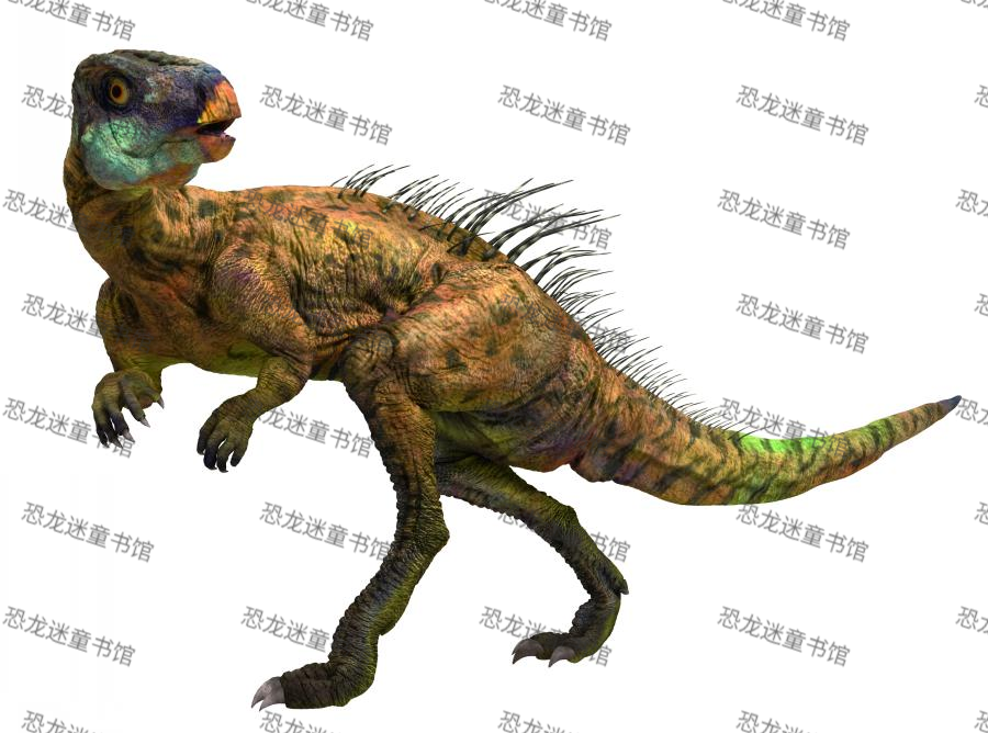 中国恐龙-娇小长春龙