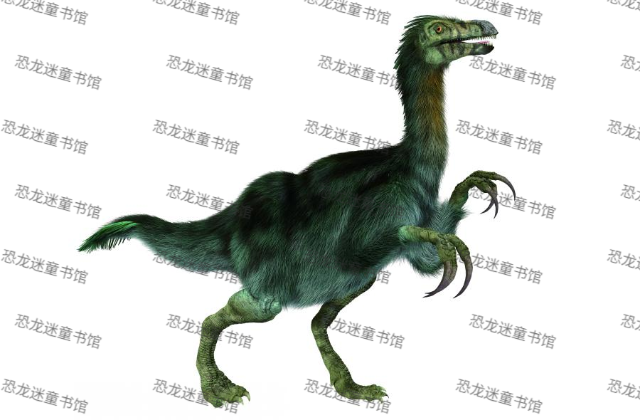 中国恐龙短棘南雄龙