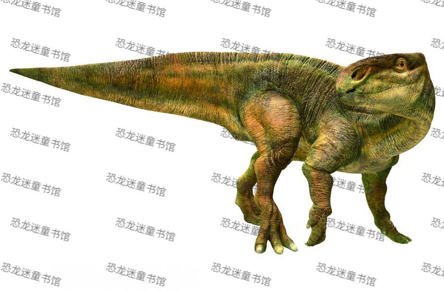 中国恐龙-姜氏巴克龙