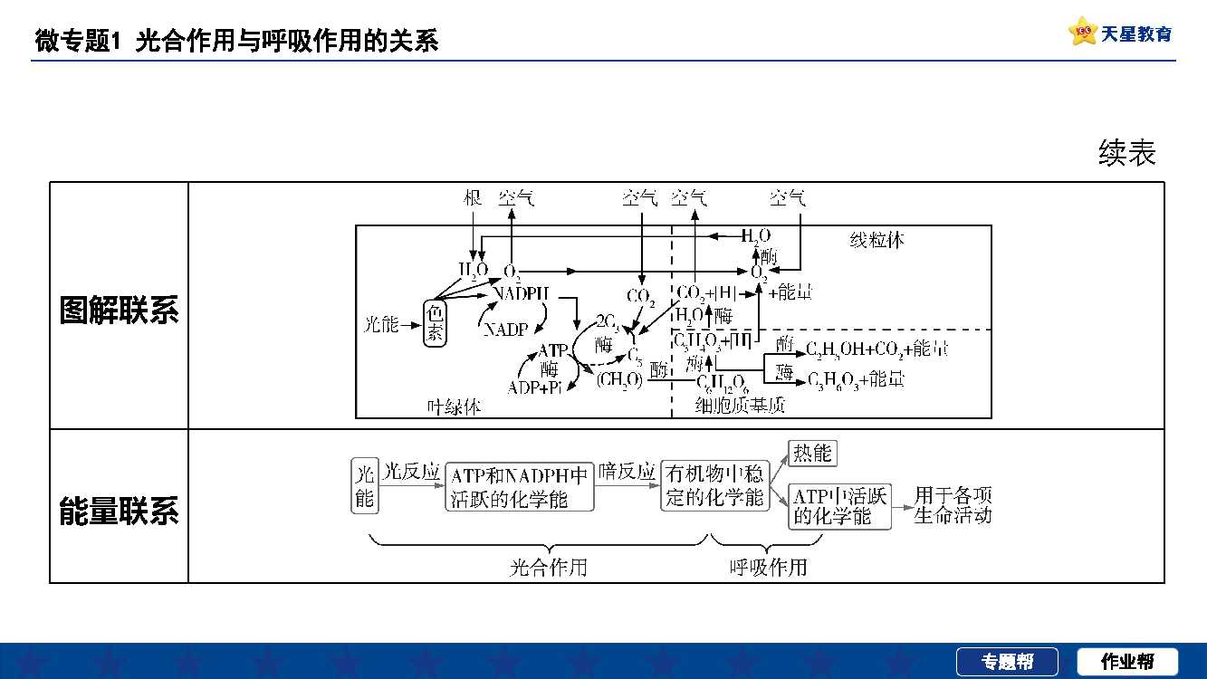 高考生物光合作用与呼吸作用的简单介绍
